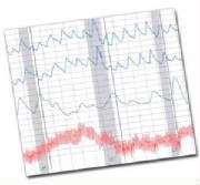 PolygraphCharts.jpg